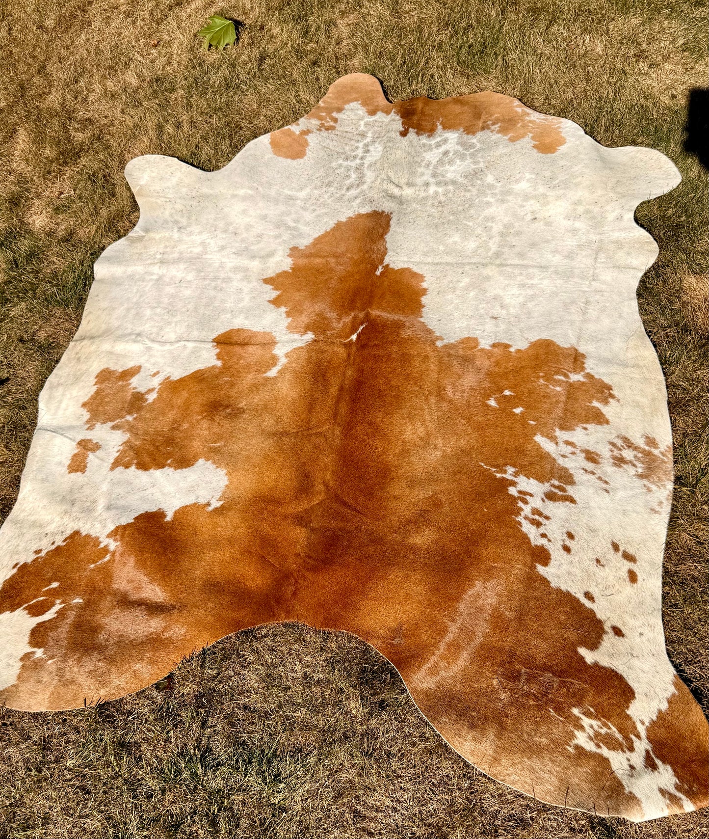 Cowhide White & Brown Rug