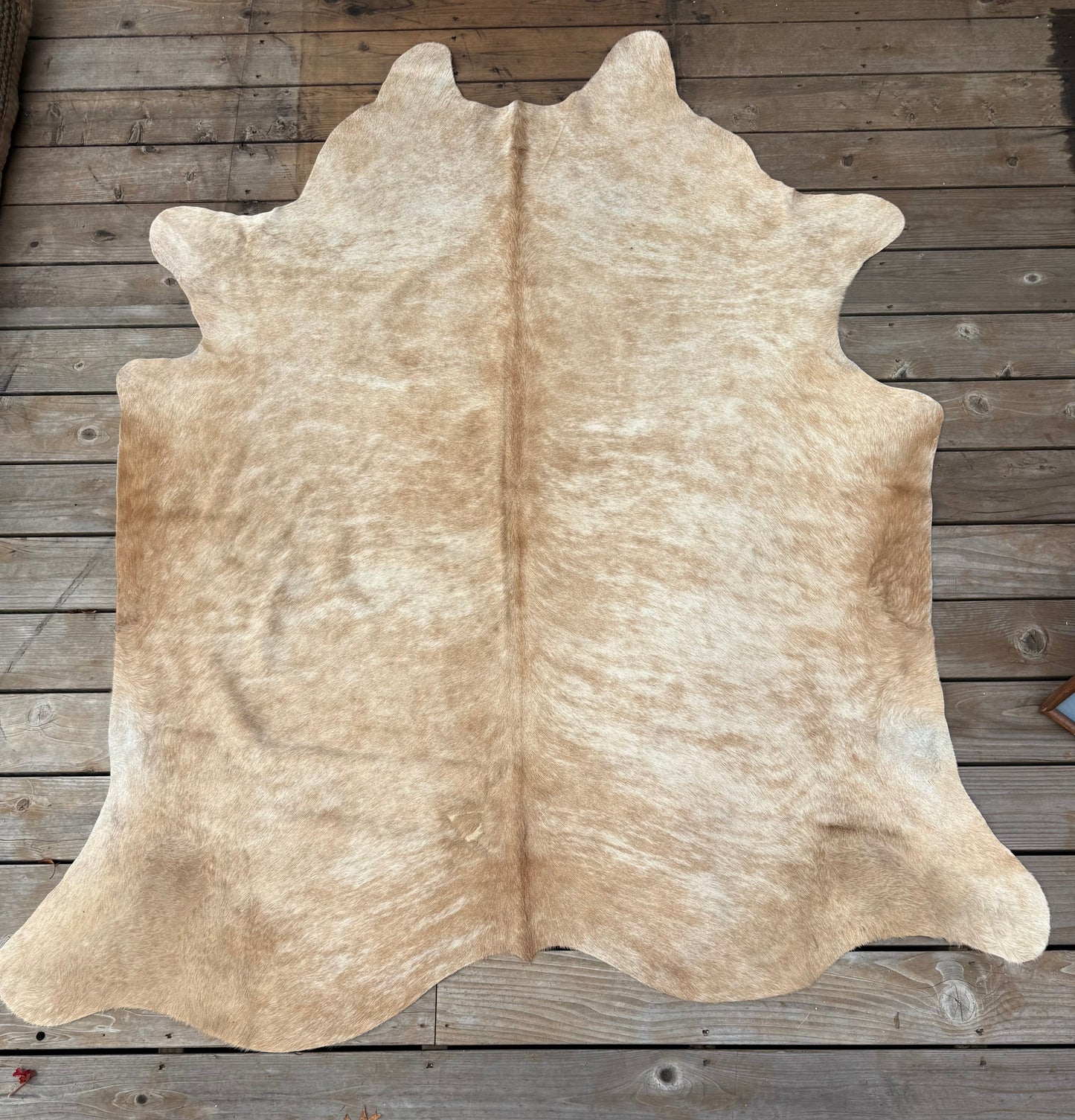 Cow hide rug