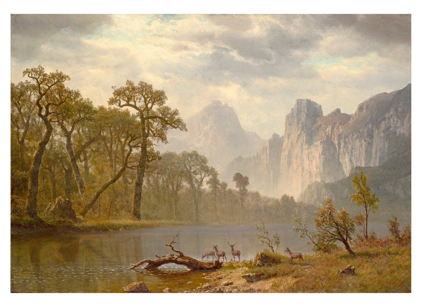 Hudson River School Paintings Book of Postcards