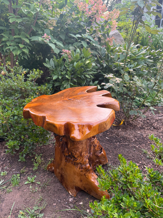 Handmade Teak Mushroom Table