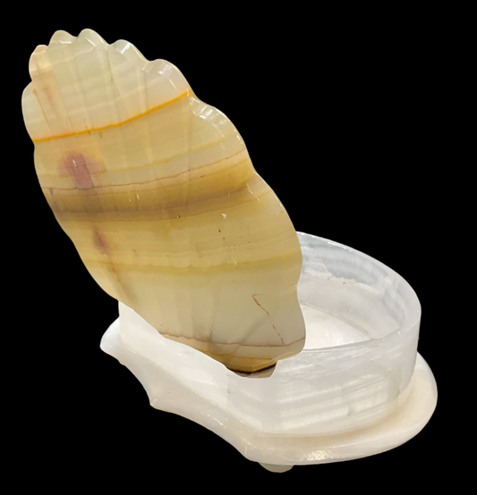 Vintage Carved Alabaster Shell Motif Box